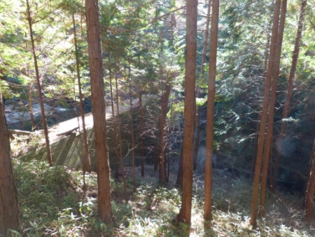 画像15